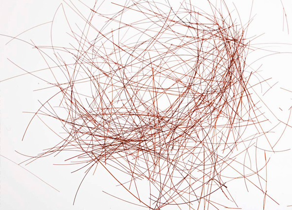 schmererderfriseur_haarausfall_diffuserHaarausfall_copyright_angelikasalomon Diffuser Haarausfall - die Haardichte nimmt ab